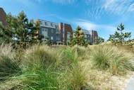 Ferienwohnung - Duinerei C202 - Ferienunterkunft in Groote Keeten (4 Personen)