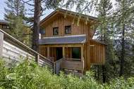 Ferienhaus - Alpenpark Turrach 47 - Ferienunterkunft in Turracher Höhe (12 Personen)