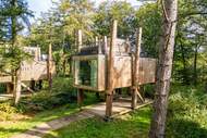Ferienhaus - The TreeLoft by YourNature - Ferienunterkunft in Antoing (4 Personen)