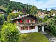 Ferienhaus - Ferienhaus, Chalet Gemini