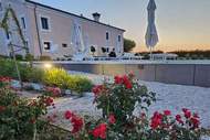 Ferienhaus, Exklusive Unterkunft - Ginestra - Ferienunterkunft in Monsano (4 Personen)