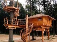 Ferienhaus - Ferienhaus Treehouse 2