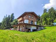 Ferienhaus, Ferienwohnung - Ferienwohnung, Villa Larice Bilocale