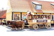 Ferienhaus - Ferienunterkunft in Svaneke (6 Personen)