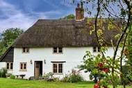 Ferienhaus - The Thatch at Winterborne Houghton - Ferienunterkunft in Winterborne Houghton (6 Personen)