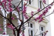 Ferienhaus - Ferienunterkunft in Sellin (6 Personen)