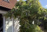 Ferienhaus - Ferienunterkunft in Löderup (8 Personen)