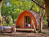 Ferienhaus - Ferienhaus Aelfred Pod