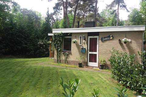 Bunderbos - Ferienunterkunft in Ommen (4 Personen)