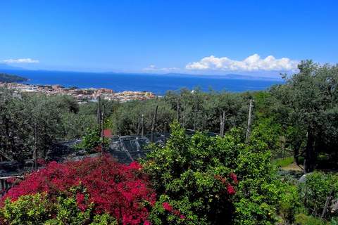 Edera - Ferienunterkunft in Sorrento (3 Personen)