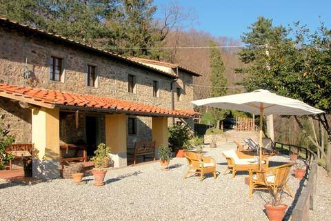 Olivi Giallo - Buerliches Haus in San Quirico-Pescia (3 Personen)