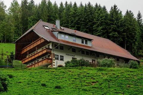 Schwarzwald - Gummenstein - Ferienunterkunft in Mühlenbach-Windenbach (4 Personen)