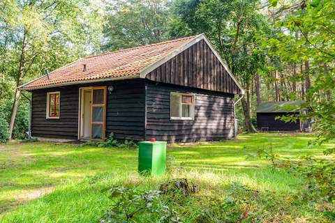 Het Boshuisje - Ferienunterkunft in Rheezerveen (4 Personen)