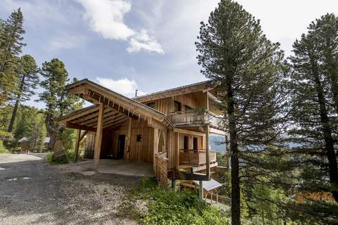 Alpenpark Turrach Chalets 1 - Chalet in Turracher Hhe (12 Personen)