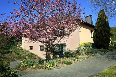 am Schäferhof - Appartement in Olsdorf (5 Personen)