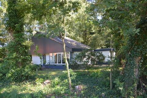 De ouwe diepvries - Ferienhaus in Haaksbergen (6 Personen)