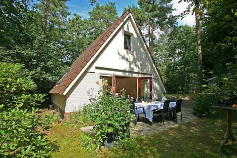 Kleine Vos - Ferienunterkunft in Nunspeet (6 Personen)