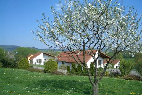 Feriendorf Uslar 2 - Ferienhaus in Uslar (4 Personen)