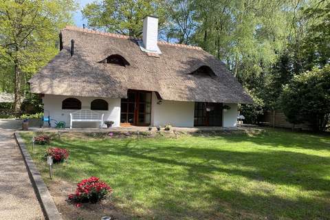 Boschhuys - Ferienhaus in Uelsen (4 Personen)