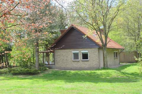 Vogelnestje - Ferienhaus in Uden (6 Personen)