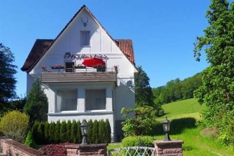 Im Weserbergland - Appartement in Bad Pyrmont (5 Personen)