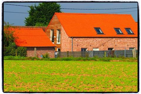 Les Tropiques - Ferienhaus in Ellezelles (7 Personen)