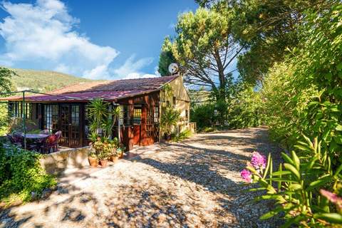 Serrado de Bouças - Bäuerliches Haus in Abragão-Penafiel (10 Personen)