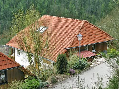 Ferienhaus Sonnenschein  in 
Hornberg (Deutschland)