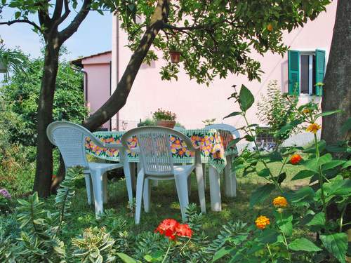 Ferienwohnung Elisa (DOL127)  in 
Dolcedo (Italien)