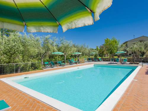 Ferienwohnung Montaleo 4  in 
Casale Marittimo (Italien)