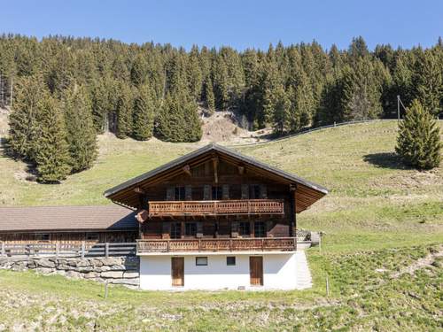 Ferienhaus, Chalet Naulaz