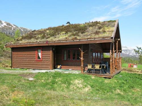 Ferienhaus Myravatnet