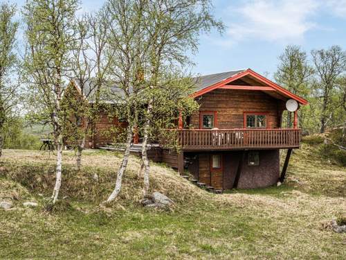 Ferienhaus Fjällnäs