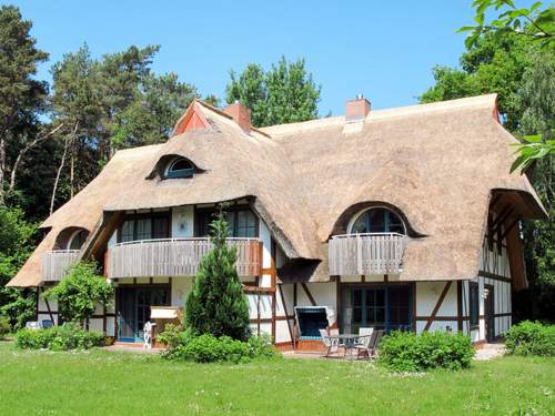 Ferienwohnung Spitzgatt  in 
Born (Deutschland)