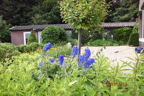 De Cottage - Bäuerliches Haus in Egmond aan den Hoef (2 Personen)