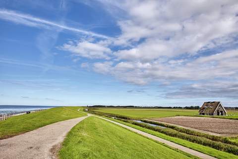 Landhuis Wad Anders - Villa in Wierum (20 Personen)