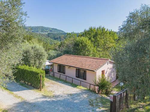 Ferienhaus Villetta Cerchia  in 
Lucca (Italien)