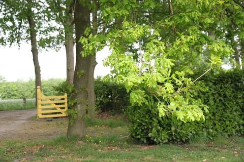 Hofstede Groot Blankenstein - Bauernhof in Doorn (8 Personen)