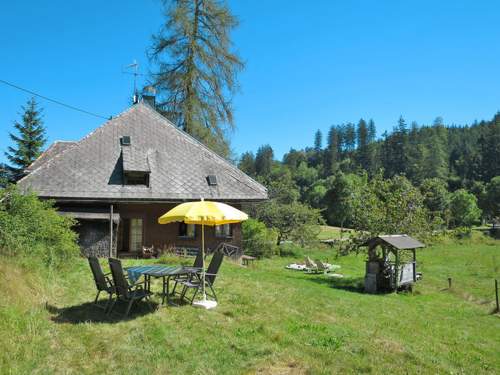 Ferienhaus, Landhaus Bistenhof  in 
Hinterzarten (Deutschland)