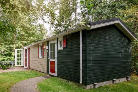 Bospark Lunsbergen 5 - Ferienunterkunft in Borger (4 Personen)
