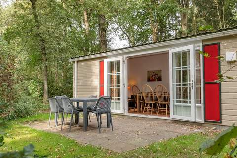 Bospark Lunsbergen 6 - Chalet in Borger (6 Personen)