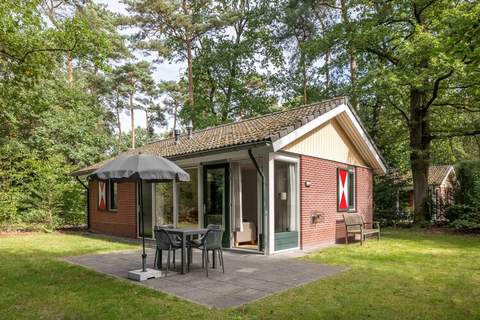 Bospark Lunsbergen 7 - Ferienunterkunft in Borger (4 Personen)