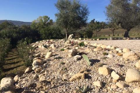 Casa Picciano - Ferienunterkunft in Picciano (7 Personen)