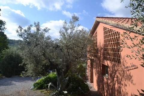 Lidia - Ferienhaus in Castagneto Carducci (4 Personen)