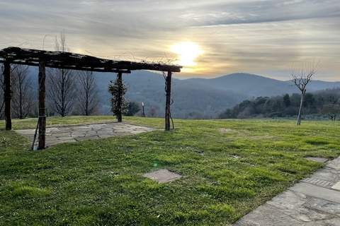 Ginepro - Ferienunterkunft in Anghiari (4 Personen)