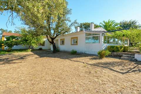 Malvazul - Ferienhaus in Herrera de Alcantara (6 Personen)