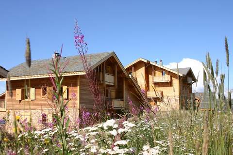 Les Chalets de l'Altiport 5 - Ferienunterkunft in Huez (12 Personen)