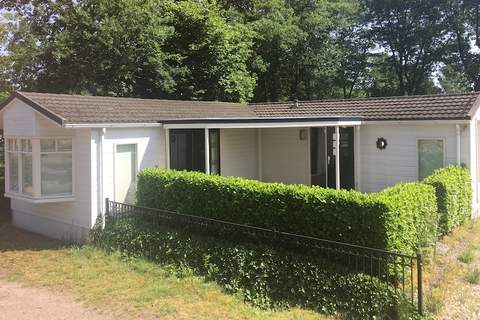 Vakantiepark Sandberghe 8 - Ferienunterkunft in Uden (6 Personen)