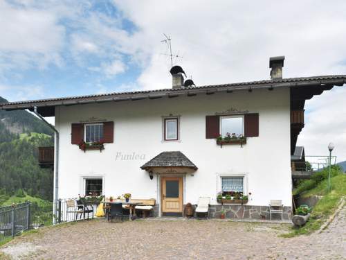 Ferienwohnung Puntea