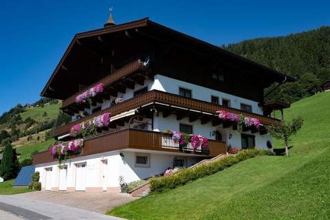 Bergliebe - Appartement in Hollersbach im Pinzgau (4 Personen)